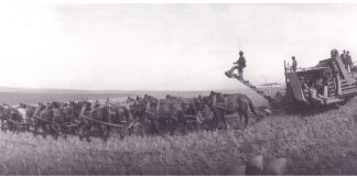 Harvest.