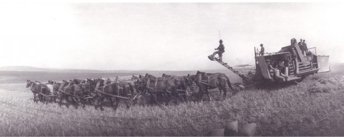 Harvest. Harvest.