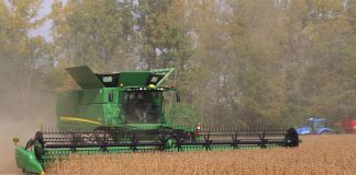 Soybean harvest 2017