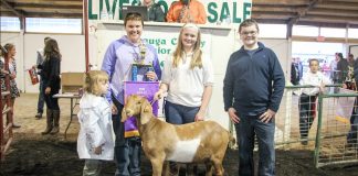 Geauga Fair champion goat