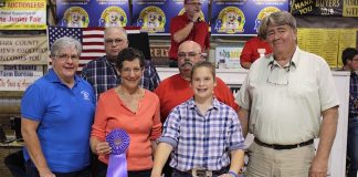 Stark grand chickens