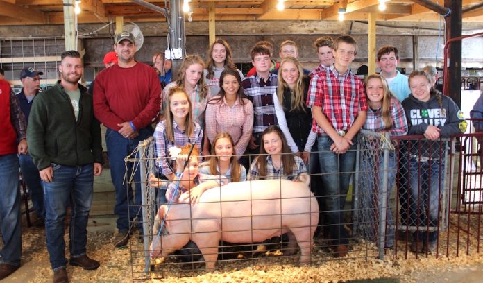 Stark donated buyers Texas hog