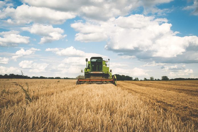 agriculture-1866896_1280