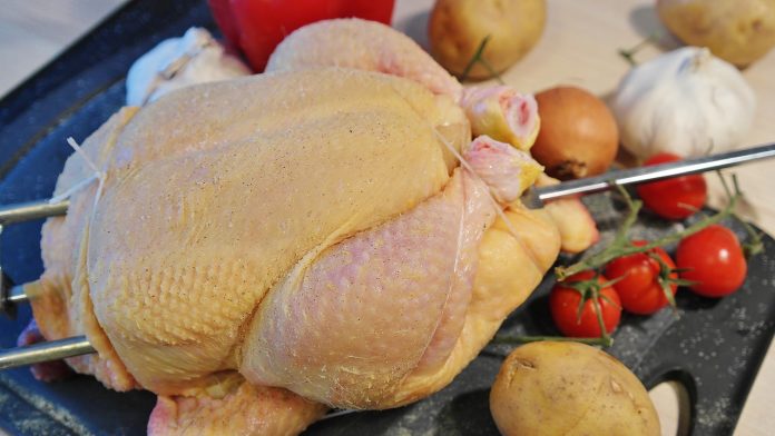 chicken-1884873_1280