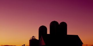Dairy barn