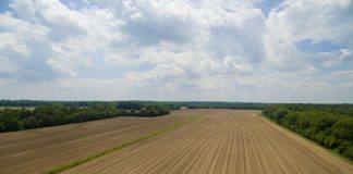 Tilled field