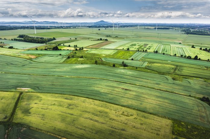 field-839797_1280