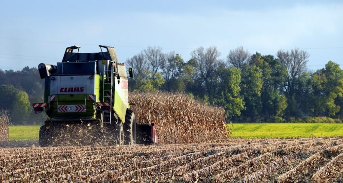 harvest-1784238_1280