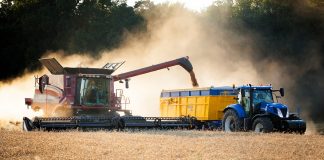 Harvest