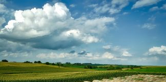 Iowa