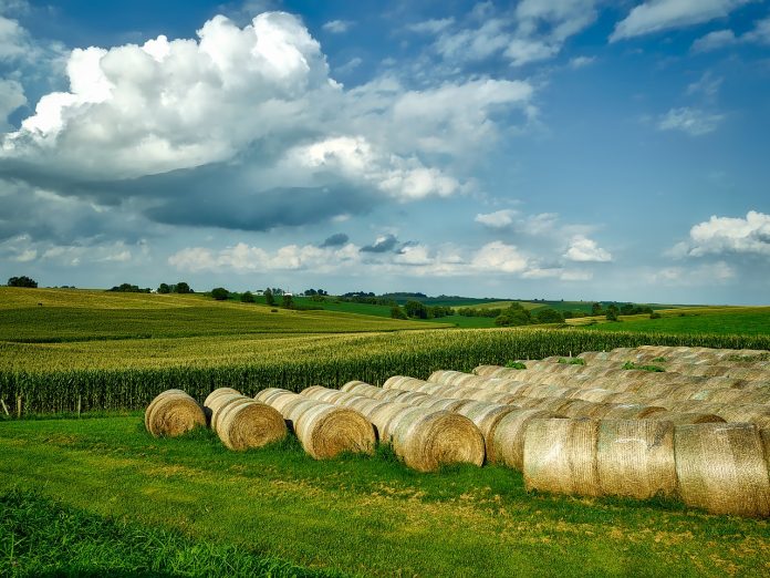 Iowa Iowa