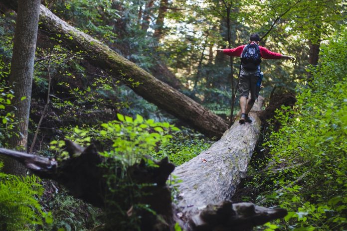 A man hiking. A man hiking.