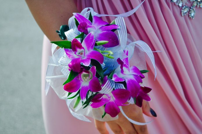 prom-1625181_1280
