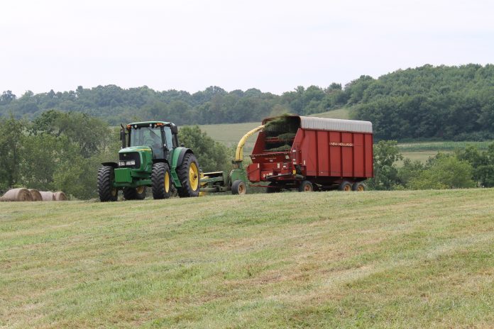 silage.chopping copy chopping
