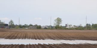 Flooded farm field