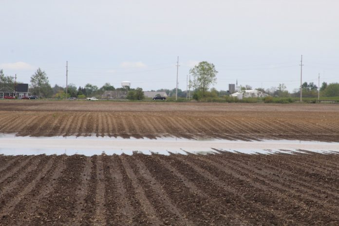 Flooded farm field Flooded farm field