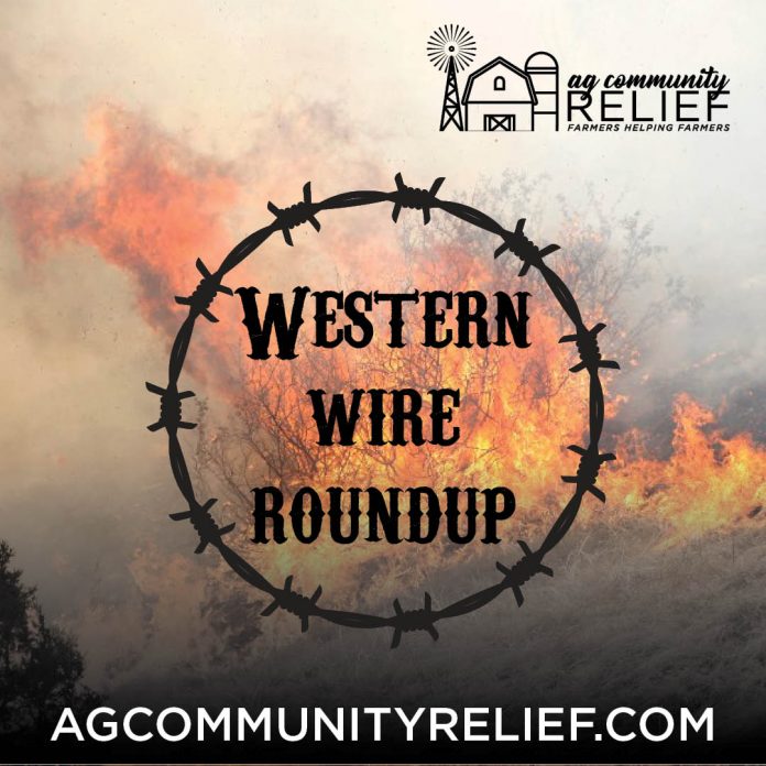 Western Wire Roundup Western Wire Roundup