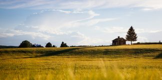 Farmhouse.
