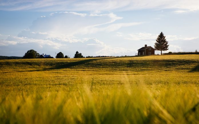 Farmhouse. Farmhouse.