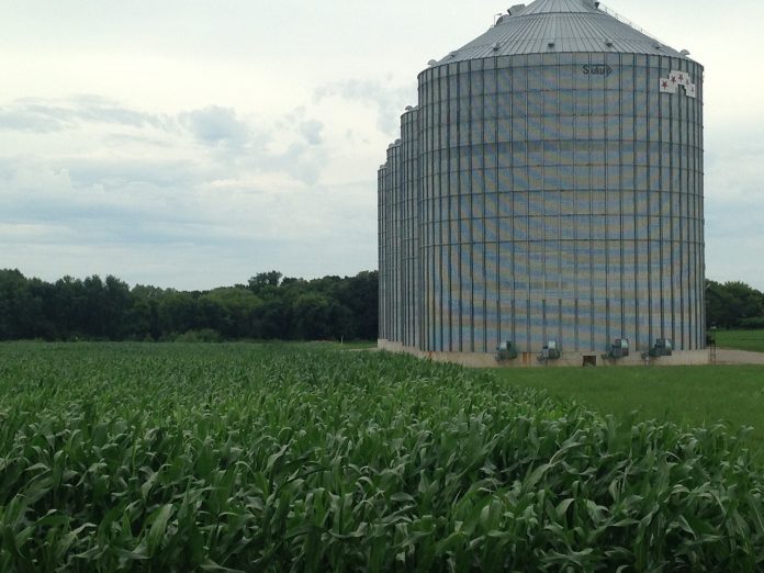 grain bin grain bin