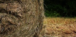 hay bales