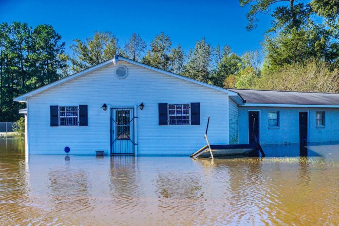 Jefferson County 4-H hurricane relief Jefferson County 4-H hurricane relief