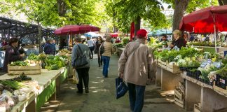 farmers market