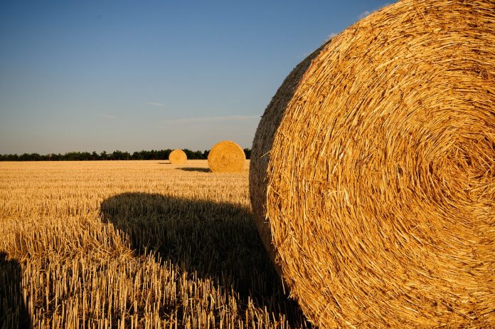 straw-bales-726977_1280