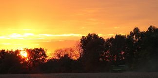 sunset