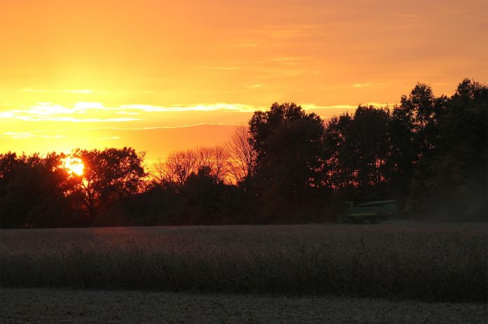 sunset sunset