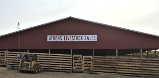 Athens Livestock Sales