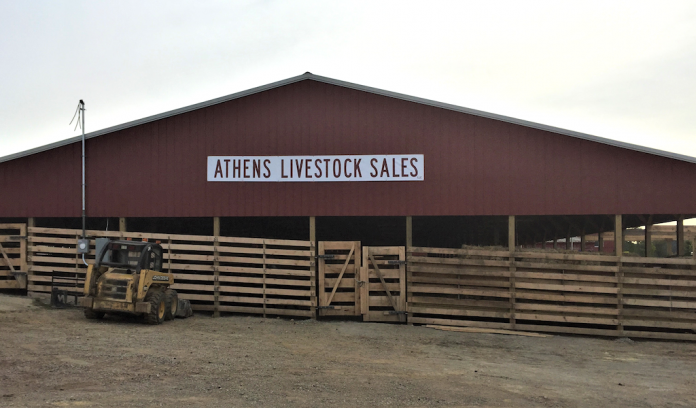 Athens Livestock Sales Athens Livestock Sales