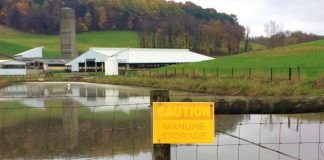 Manure holding pond