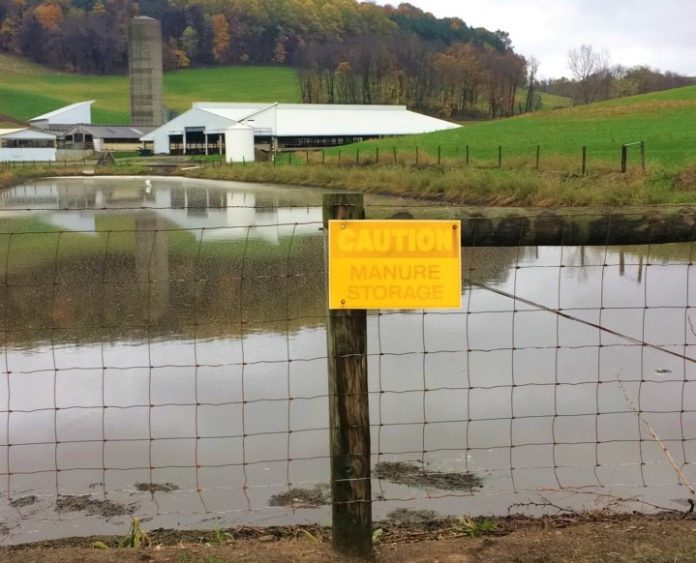Manure holding pond Manure holding pond