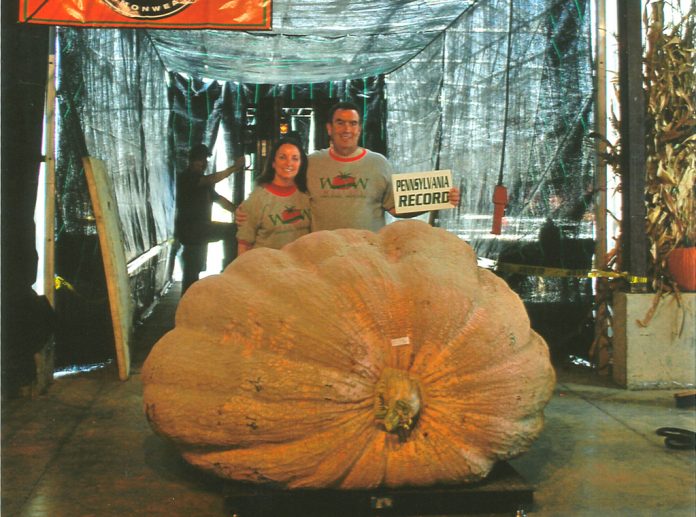 Giant pumpkin Giant pumpkin