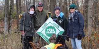 Pry tree farm