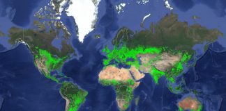 World cropland map