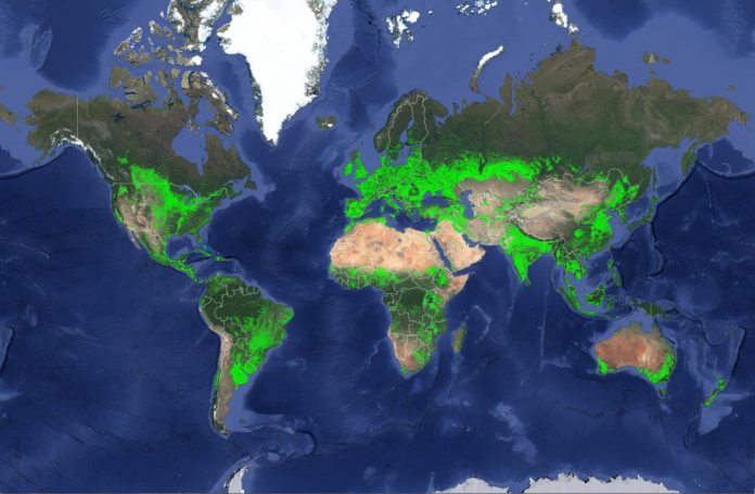 World cropland map World cropland map