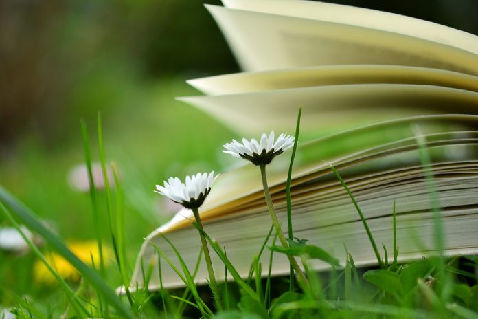 book book