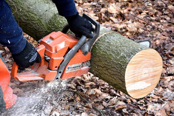 Cutting wood Cutting wood