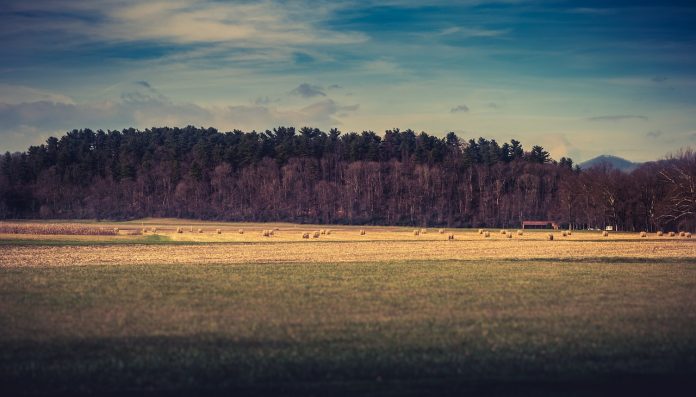 farmland farmland