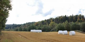 farmland