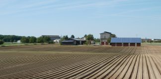 Farm field