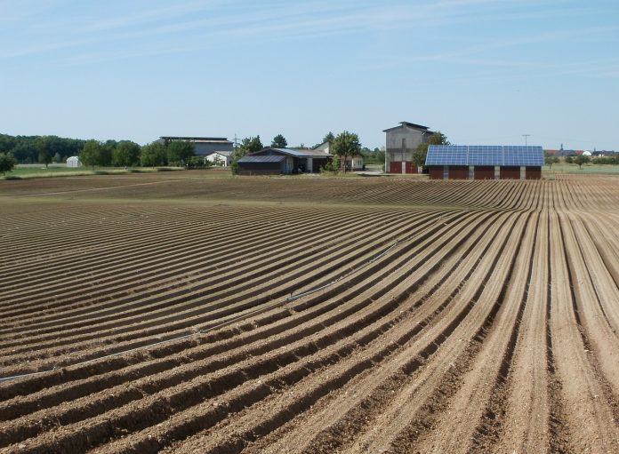 Farm field Farm field