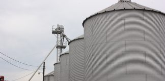 Grain bins