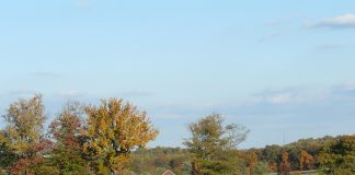 Farmland