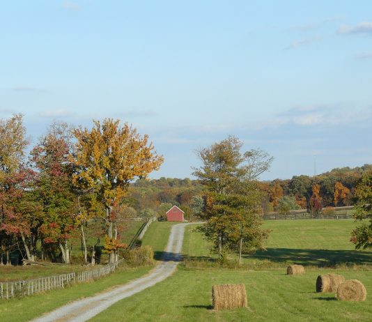 Farmland