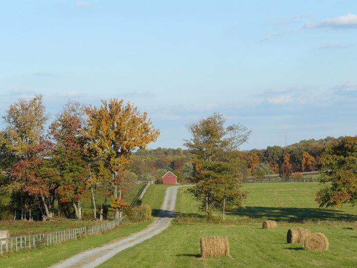 Farmland Farmland