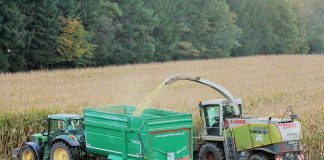 harvest