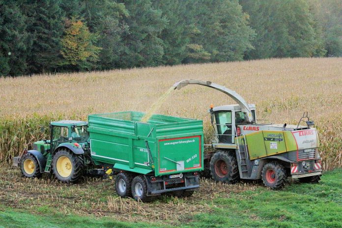harvest harvest